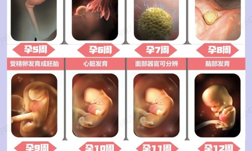 怀孕梦见生男孩就是生女孩吗-【怀孕期间梦到生男孩什么预兆】怀孕梦见生男孩的象征意义 - 怀孕期间梦到生男孩网